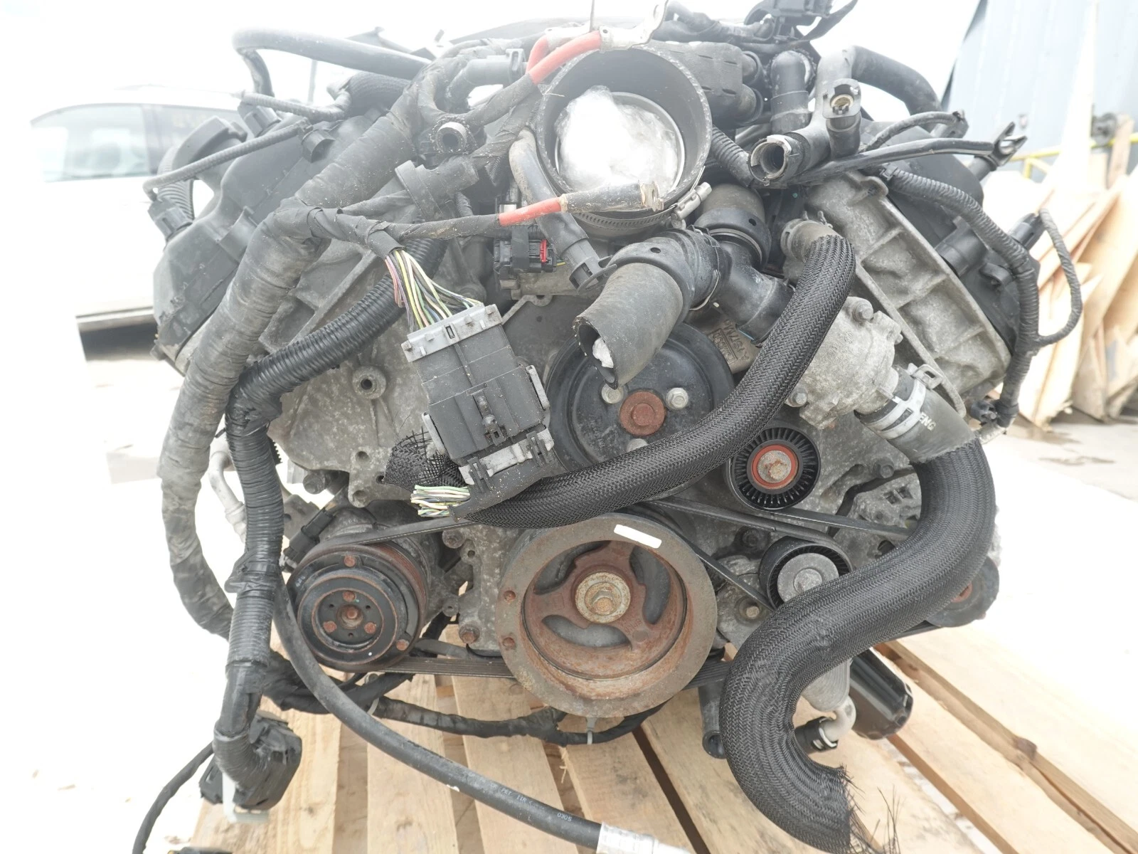 Ford 5.0L Coyote V8 Engine