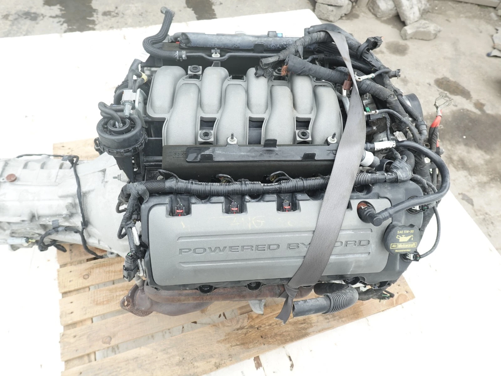 Ford 5.0L Coyote V8 Engine