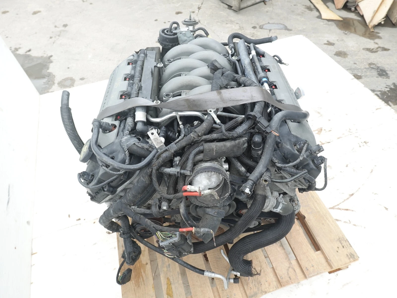Ford 5.0L Coyote V8 Engine