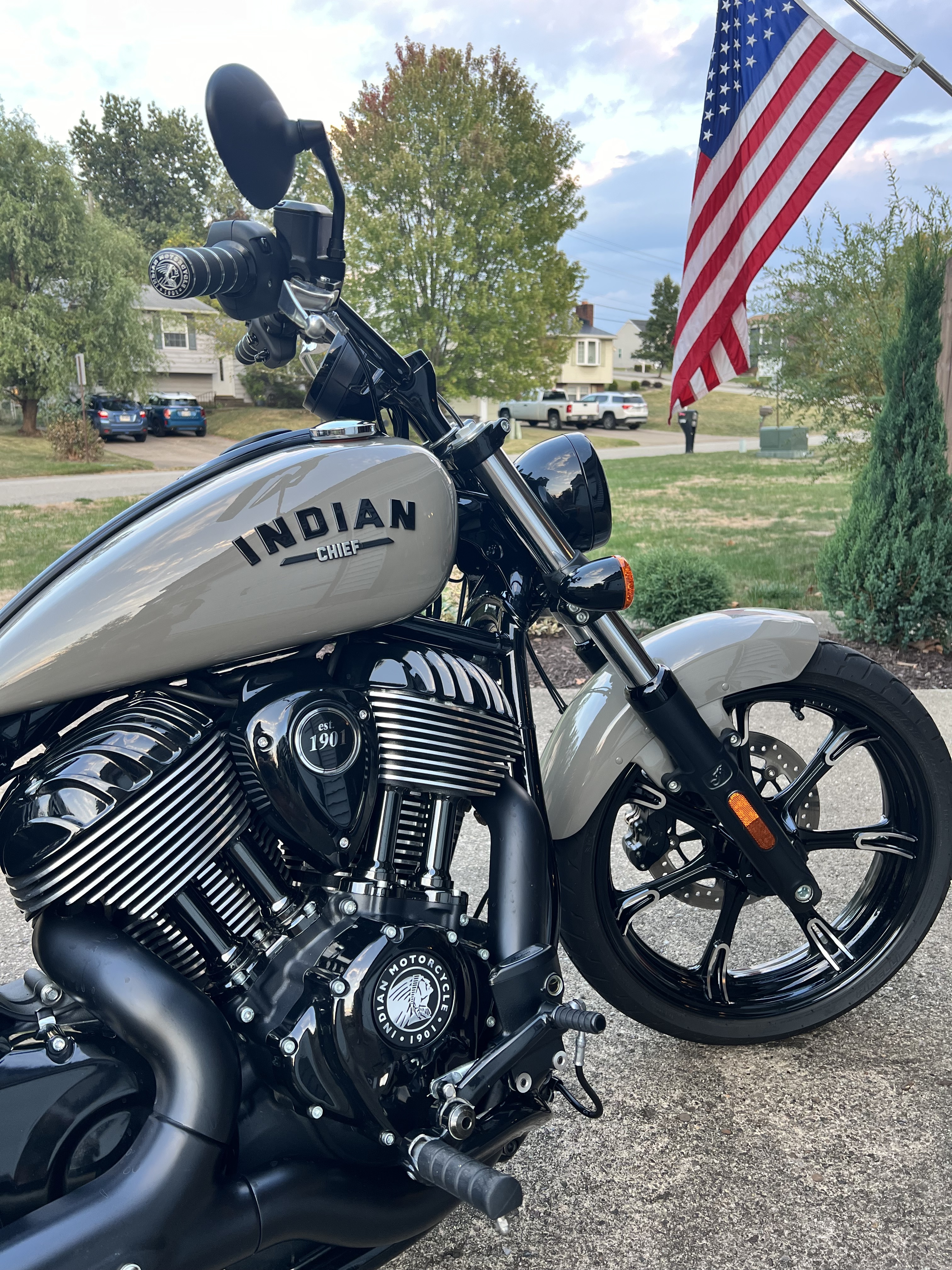 Indian Chief Dark Horse