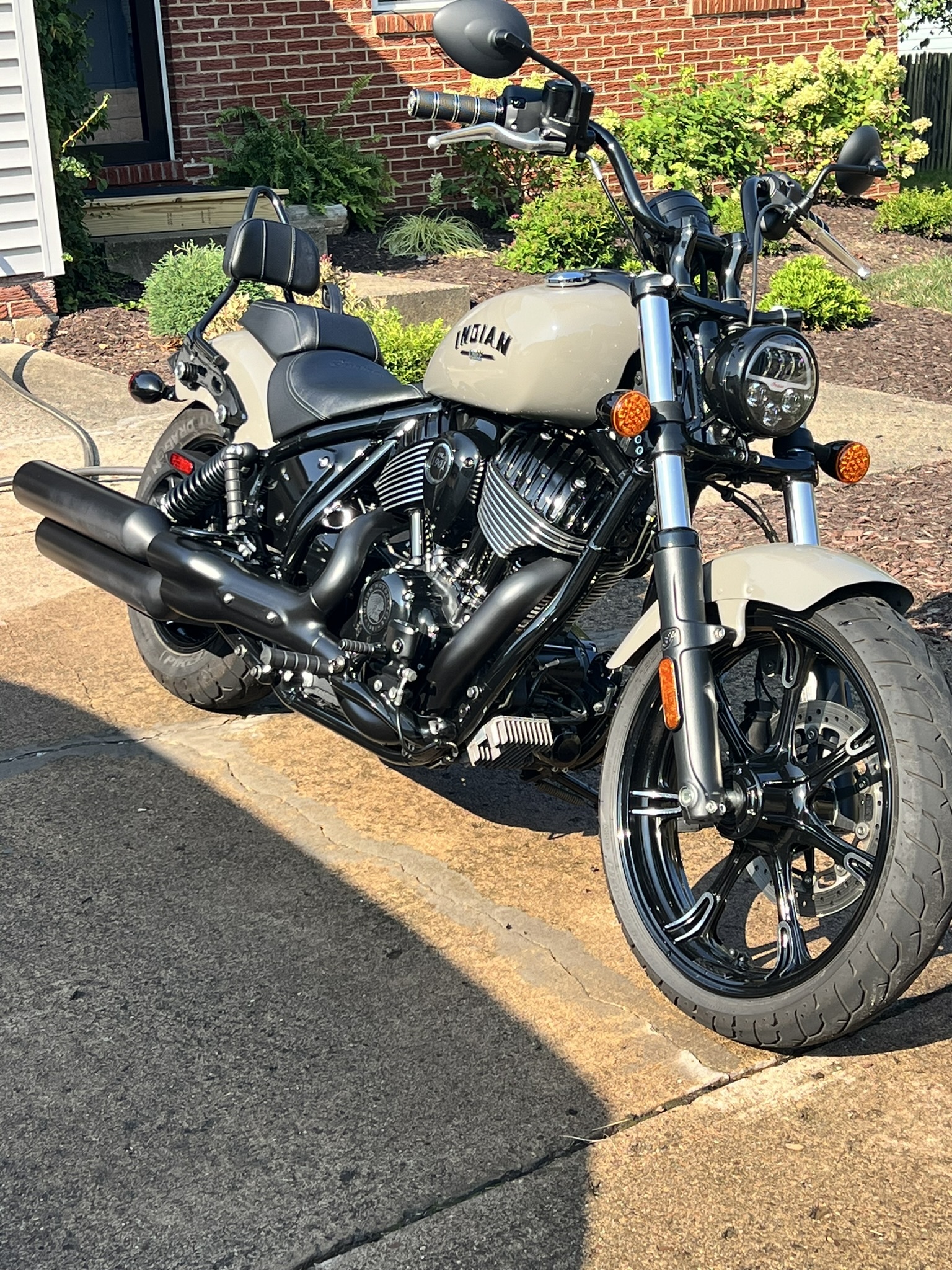 Indian Chief Dark Horse