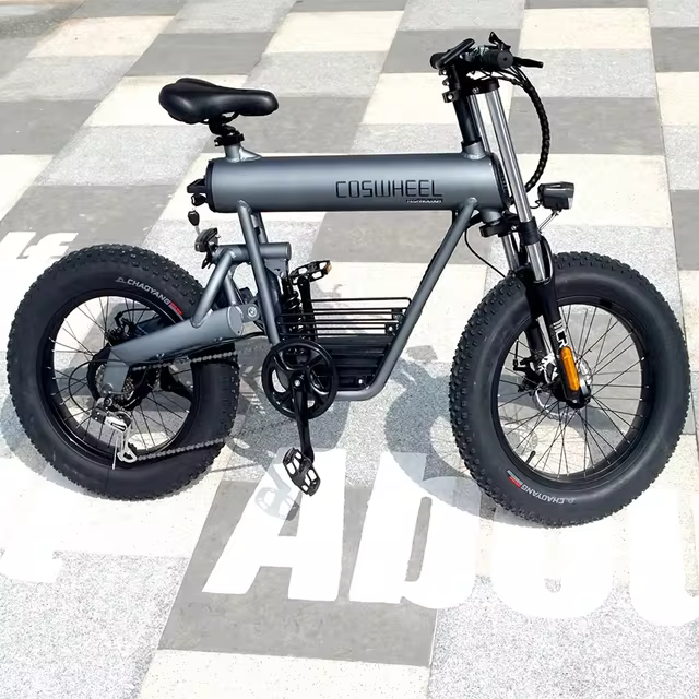 Coswheel T20