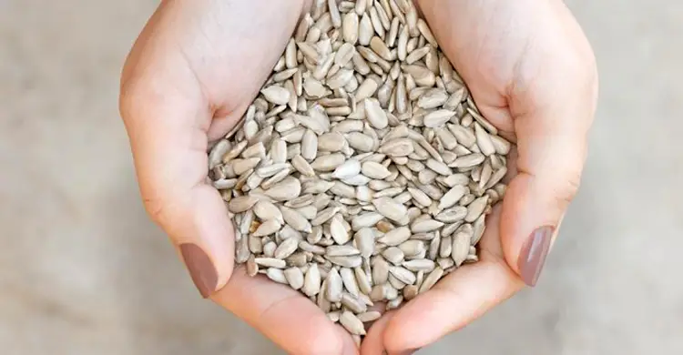 Sunflower Seed (সূর্যমুখী বীজ) 250gm