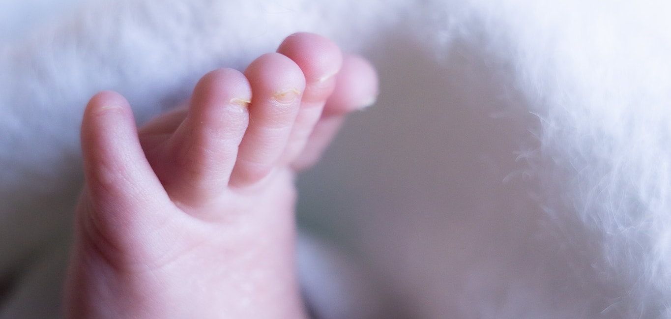 Welcome to the World