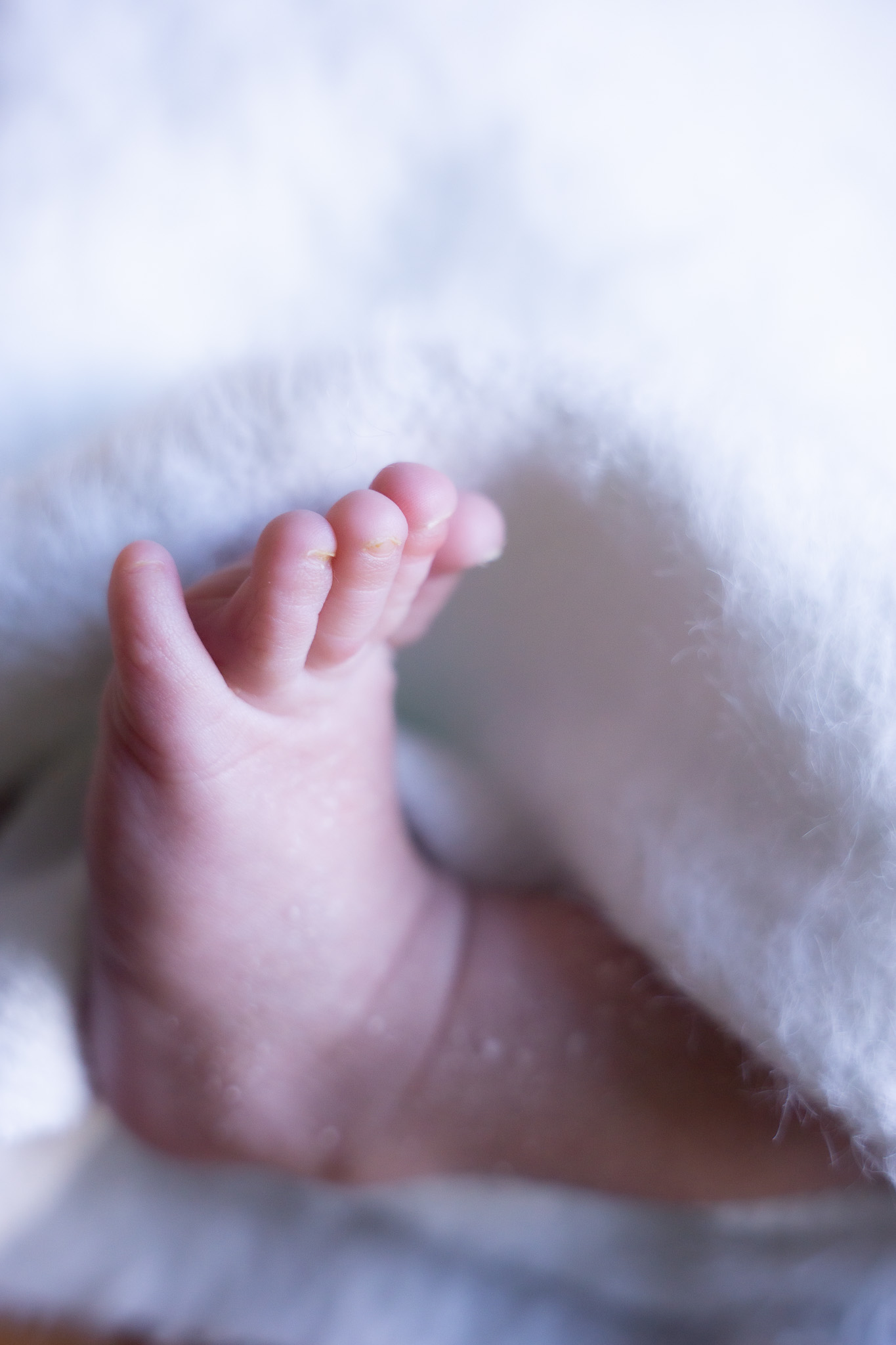 Newborn baby detail shots