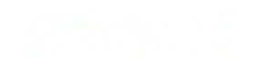 TheSteel.in Logo