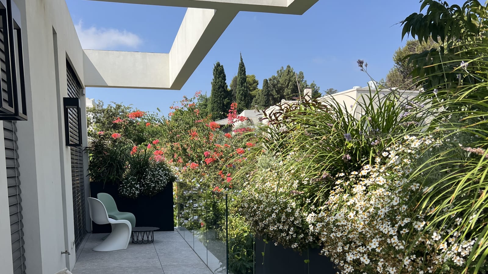 גג בהרצליה — פרחים על קו השמיים