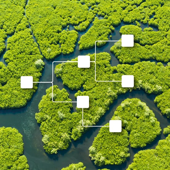 How to create a decision tree