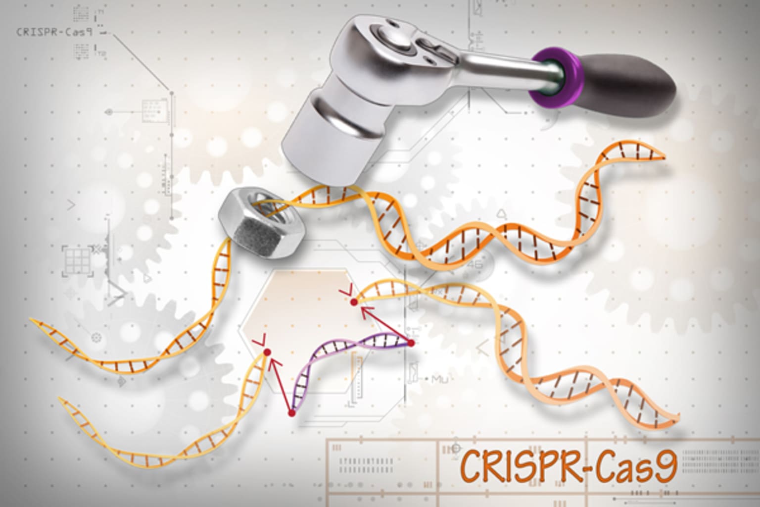 crispr-cas9.jpg