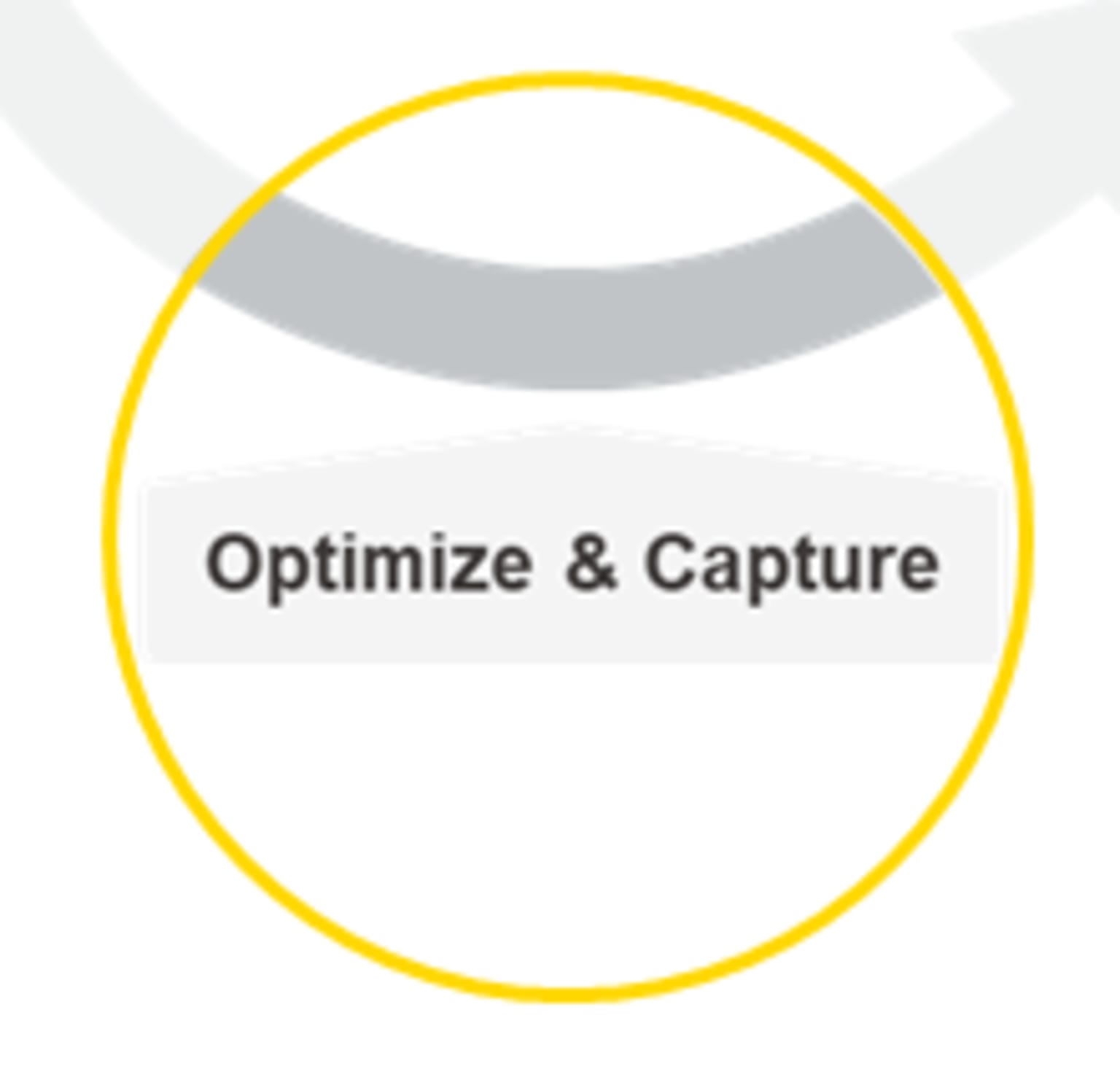 optimize-and-capture-small.png