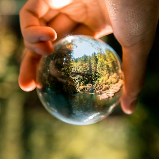carbon-emissions-transparent-calculation