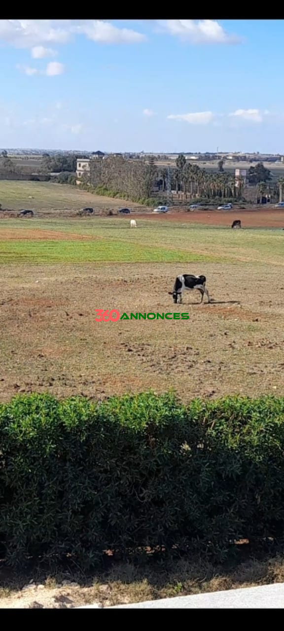 Une ferme à vendre — photo 2