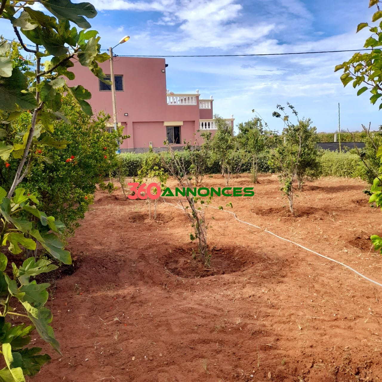 Une ferme à vendre — photo 3
