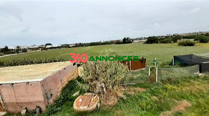 Terrain à vendre, 4 hectares, 88 R, 22 centimes, Zone i5 industriel commerciale, Darbouaza, — photo 2