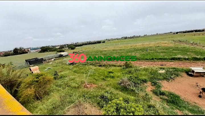 Terrain à vendre, 4 hectares, 88 R, 22 centimes, Zone i5 industriel commerciale, Darbouaza, — photo 3