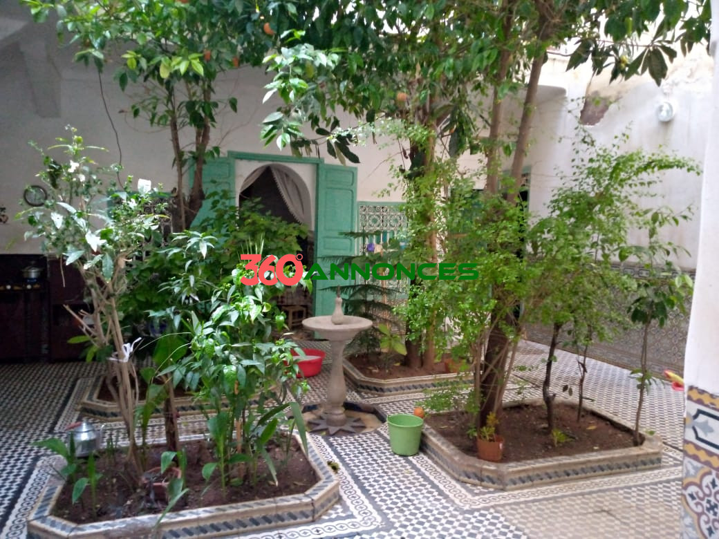 🏰 Riad Authentique à Marrakech — photo 2