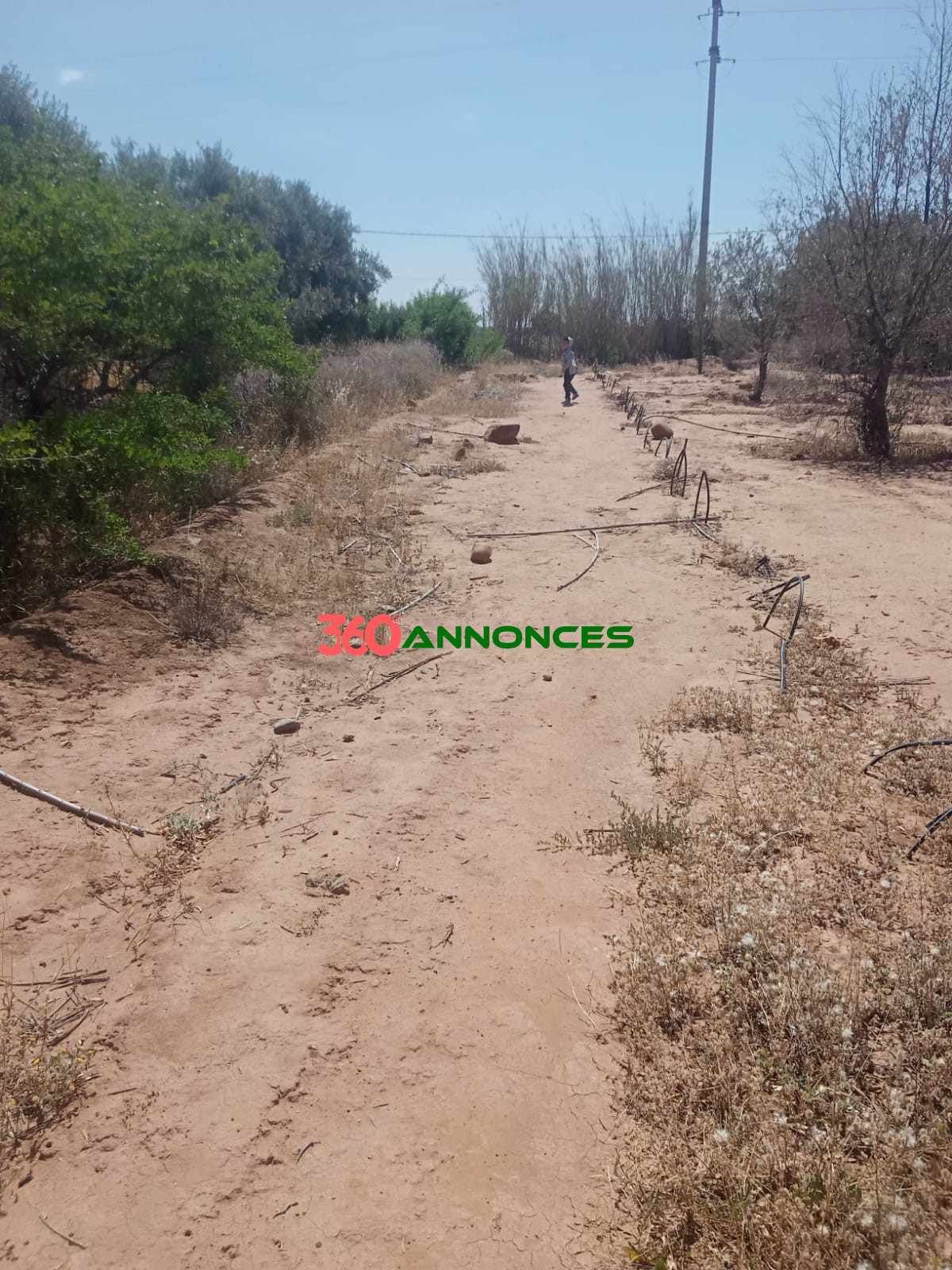 🌳 Terrain de 1400 m² à El Haouz, Marrakech — photo 2