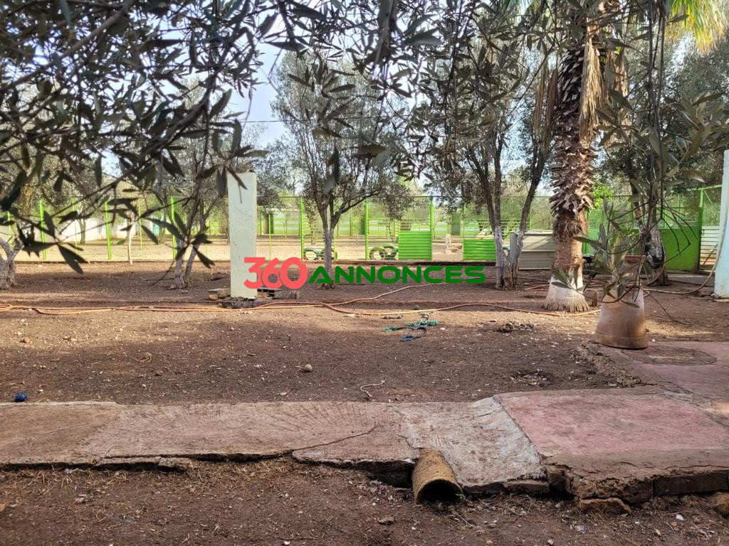 🌟 Terrain de 3 800 m² avec Locaux Commerciaux, Café et Villa — photo 5