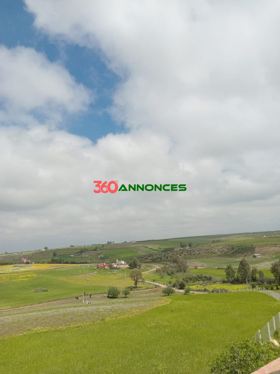 Ferme à vendre à Tiflet 🌳 - photo 14