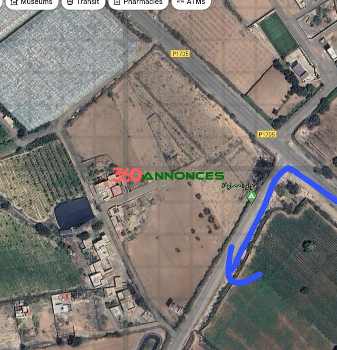 Terrain à Vendre , Région Agadir 🌍 — photo 2