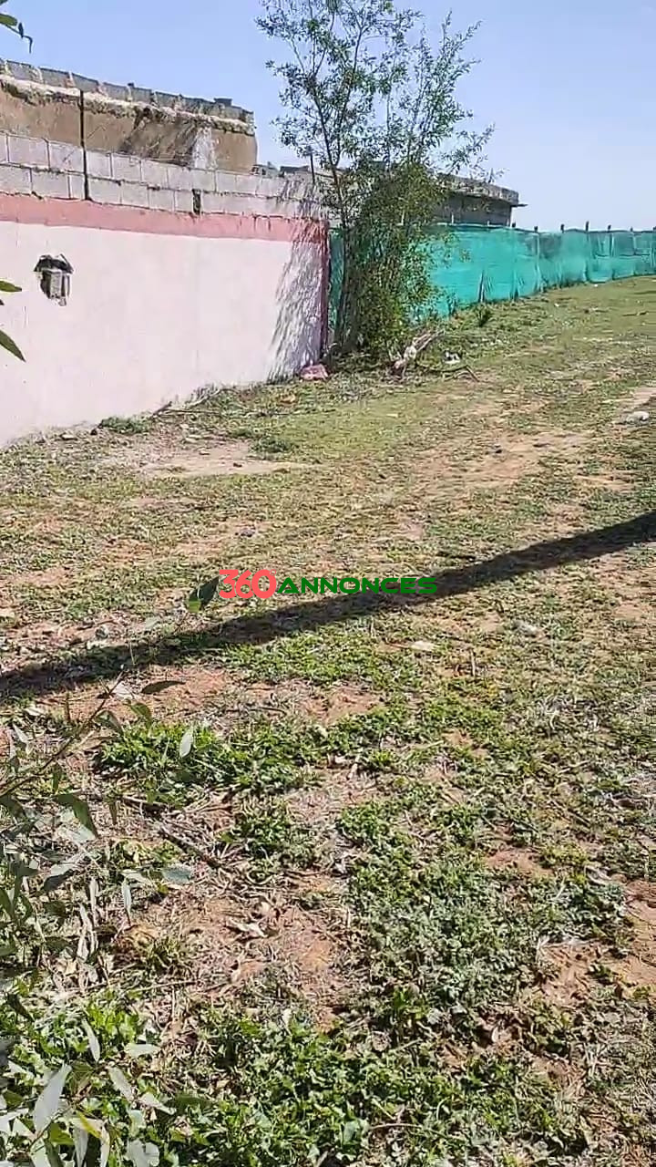 🏡Terre agricole située près de Sidi Allal El Bahraoui, avec un accès facile et pratique. — photo 2
