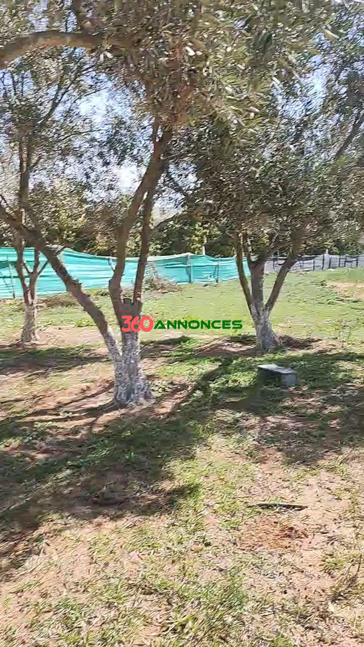 🏡Terre agricole située près de Sidi Allal El Bahraoui, avec un accès facile et pratique. - photo 17