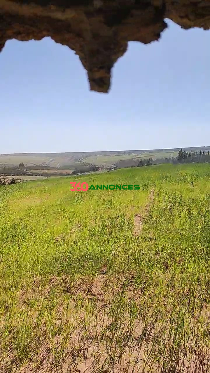🏡Terre agricole située près de Sidi Allal El Bahraoui, avec un accès facile et pratique. - photo 19