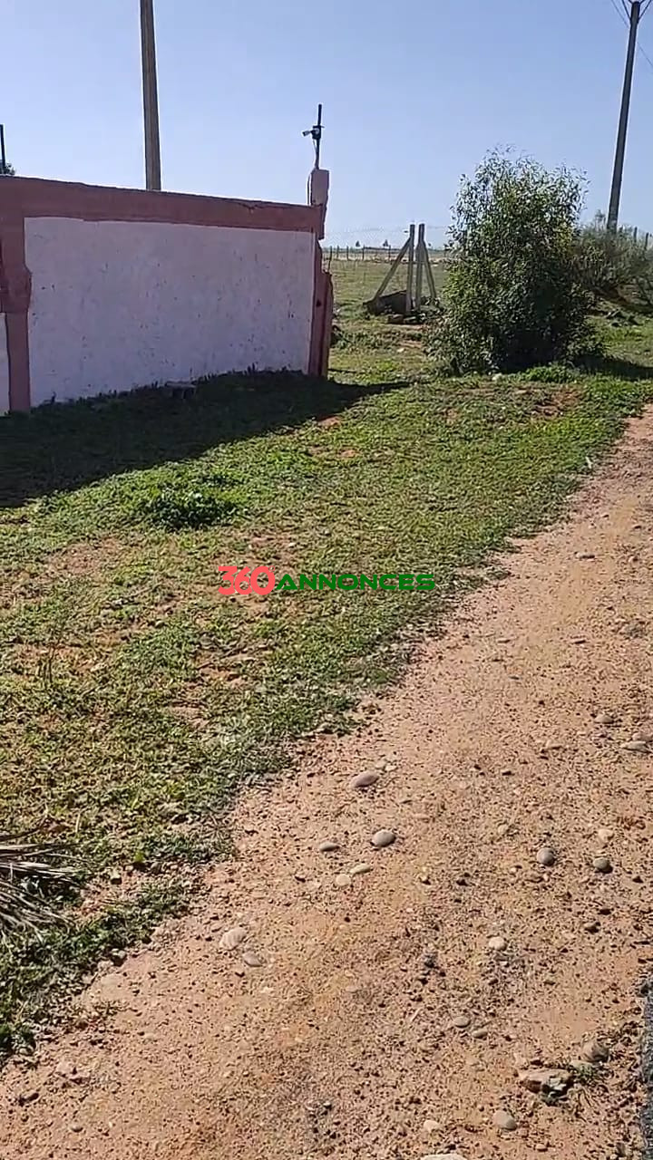 🏡Terre agricole située près de Sidi Allal El Bahraoui, avec un accès facile et pratique. — photo 3