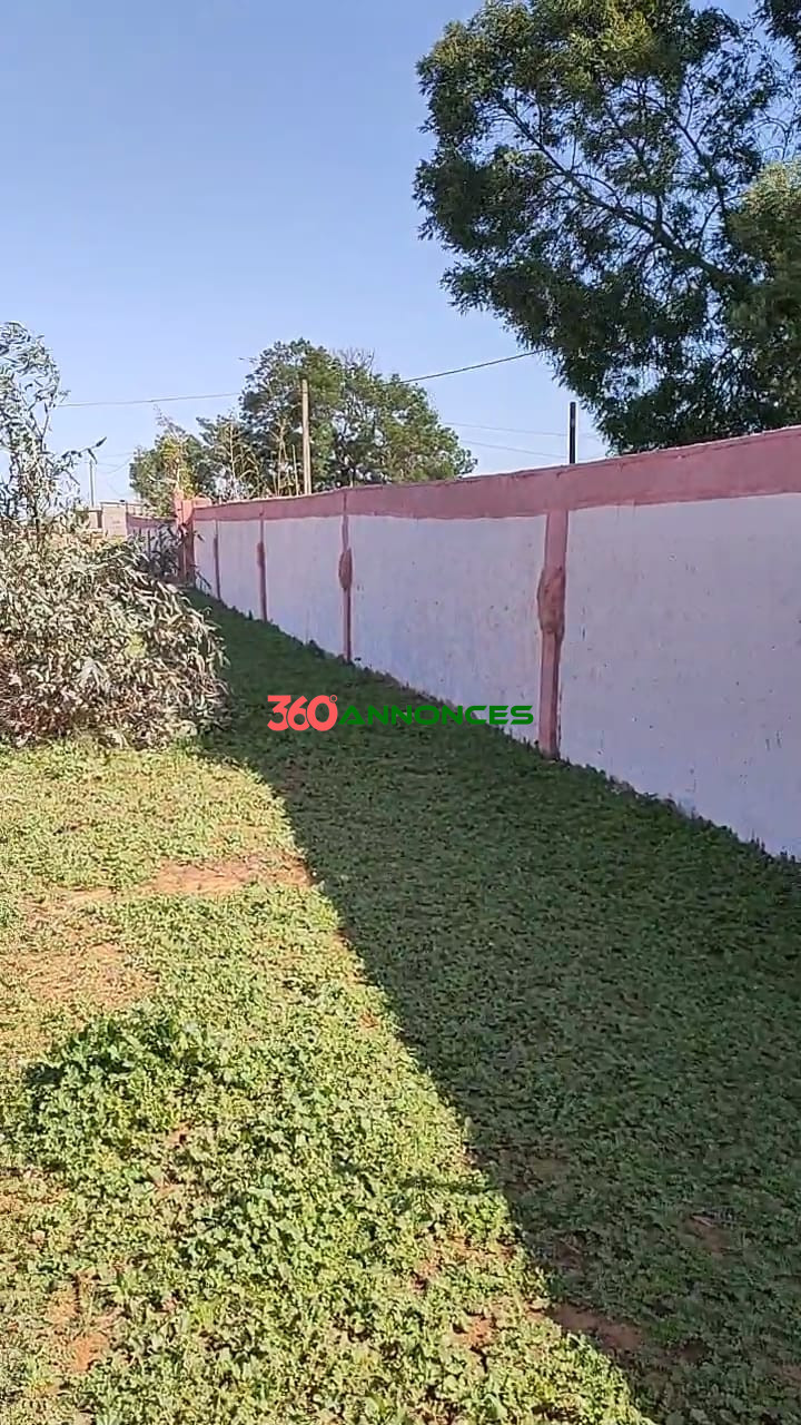 🏡Terre agricole située près de Sidi Allal El Bahraoui, avec un accès facile et pratique. — photo 5