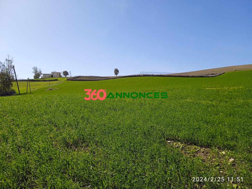 Terre agricole de 9 hectares 🌿 - photo 18