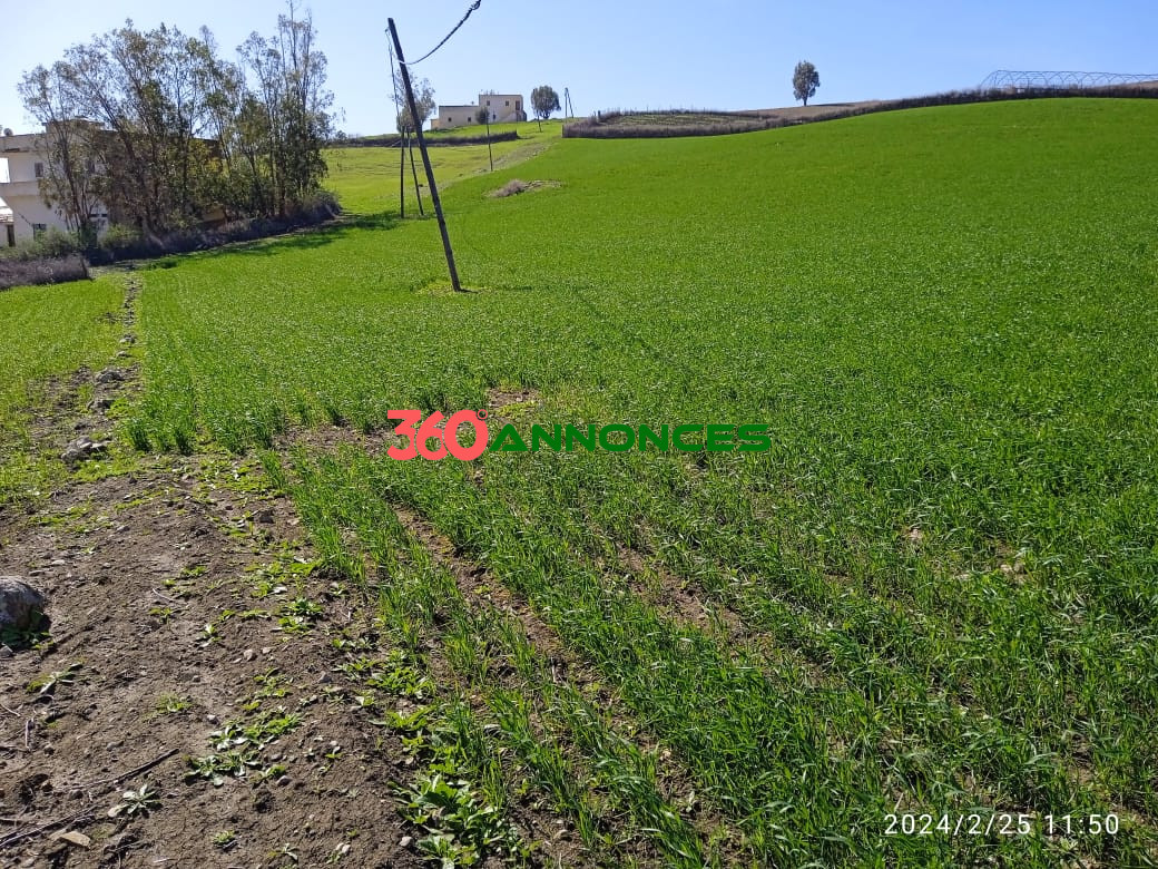 Terre agricole de 9 hectares 🌿 - photo 19
