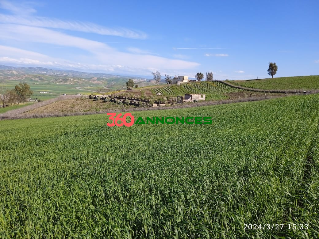 Terre agricole de 9 hectares 🌿 - photo 3