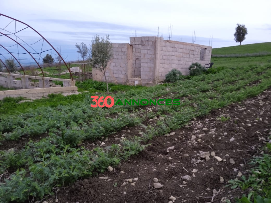 Terre agricole de 9 hectares 🌿 - photo 10