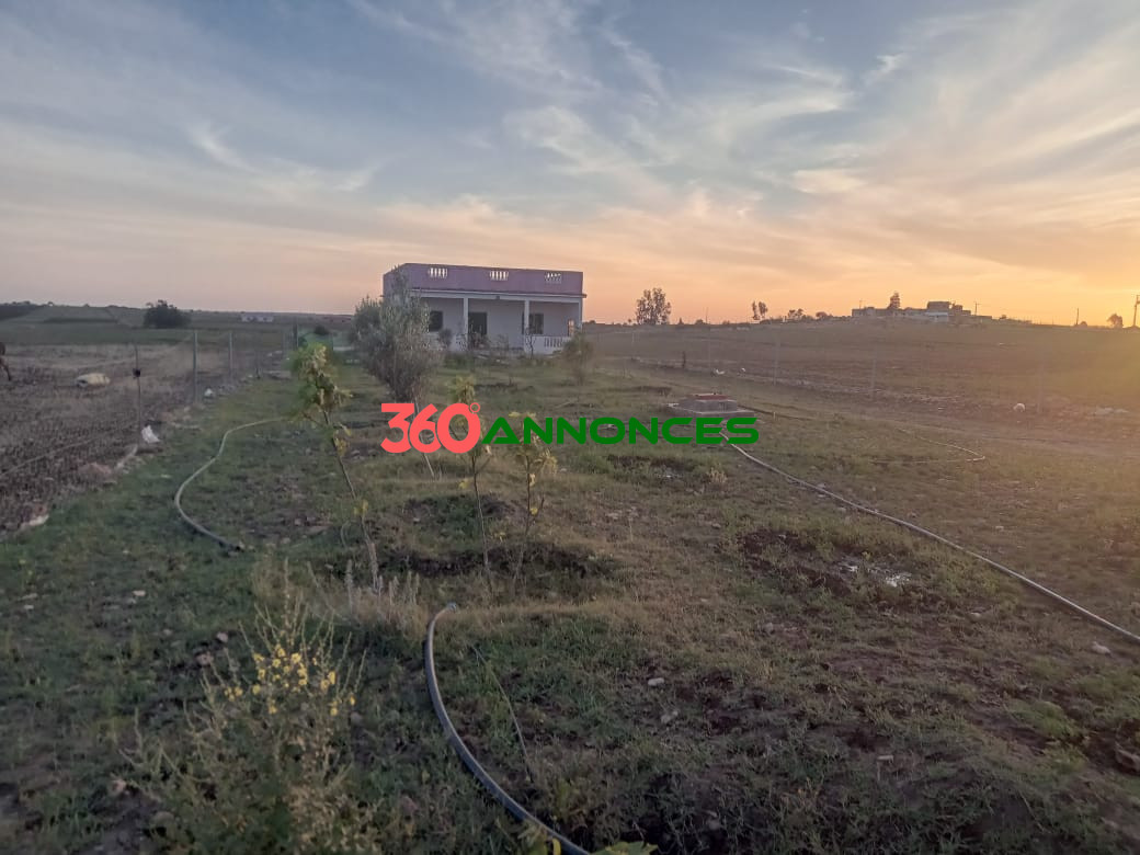 Vente d'un Terrain et Maison 🏡 — photo 3
