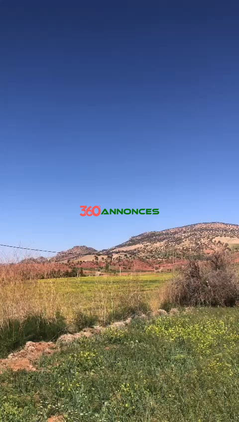 🏡 Terrain à Vendre - Beni Mellal — photo 2