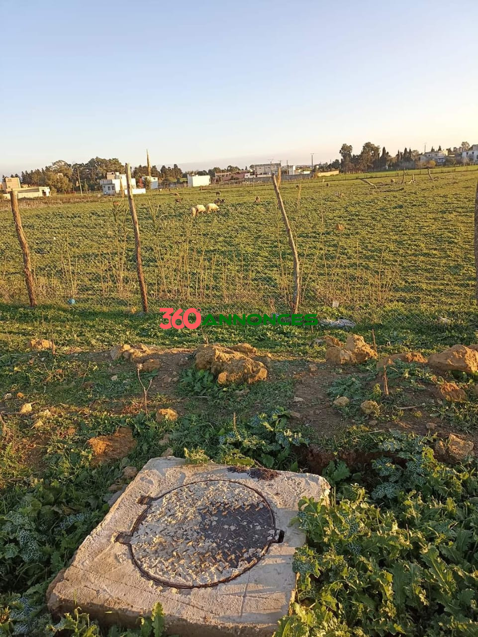 À vendre : Terrain à Al-Daïdaât, Tanger - 70 m² - photo 3