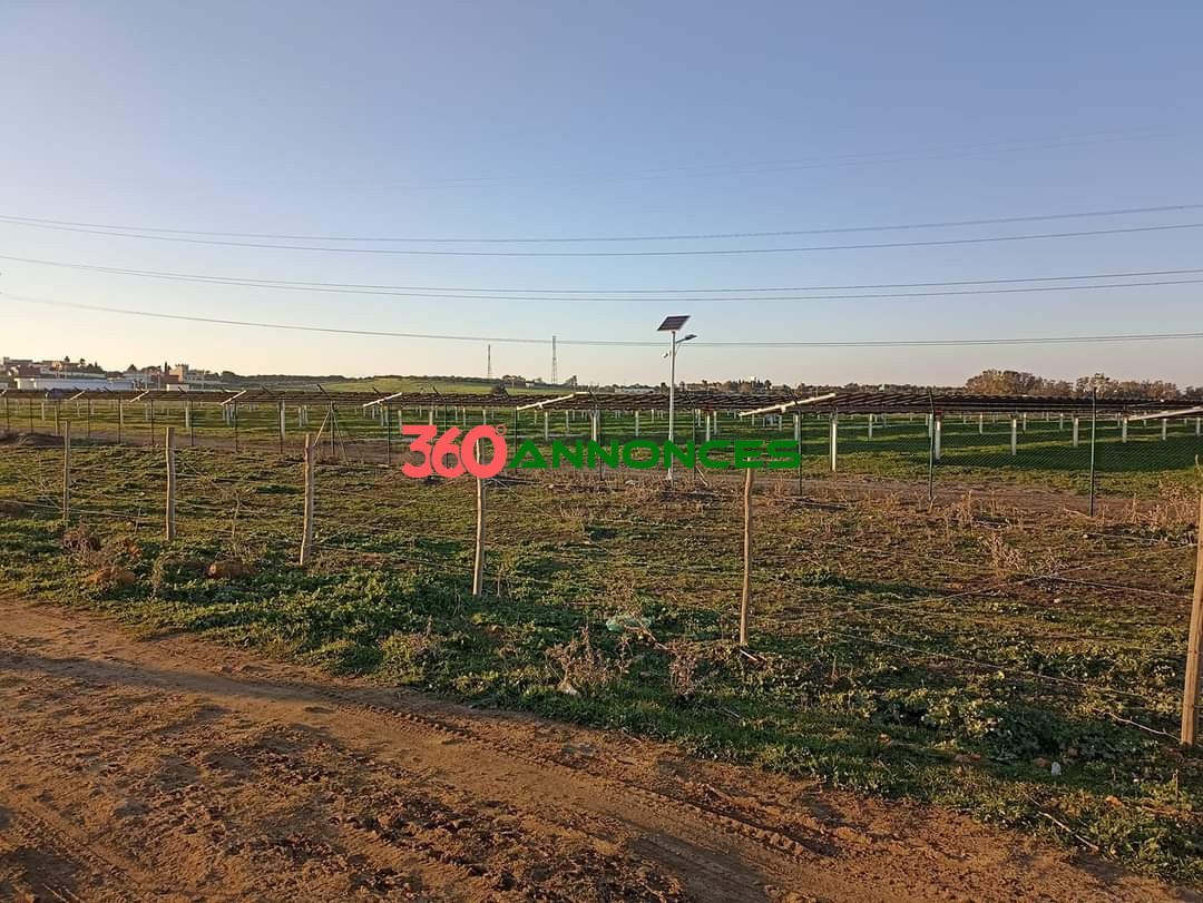 À vendre : Terrain à Al-Daïdaât, Tanger - 70 m² - photo 4