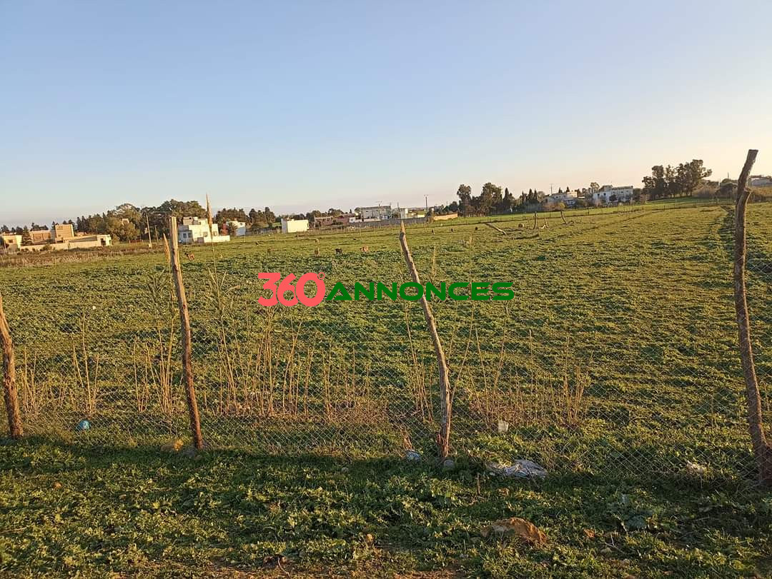 À vendre : Terrain à Al-Daïdaât, Tanger - 70 m² - photo 5