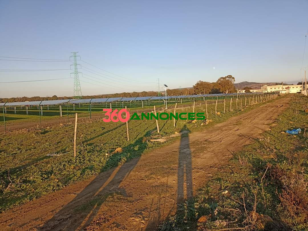 À vendre : Terrain à Al-Daïdaât, Tanger - 70 m² - photo 6