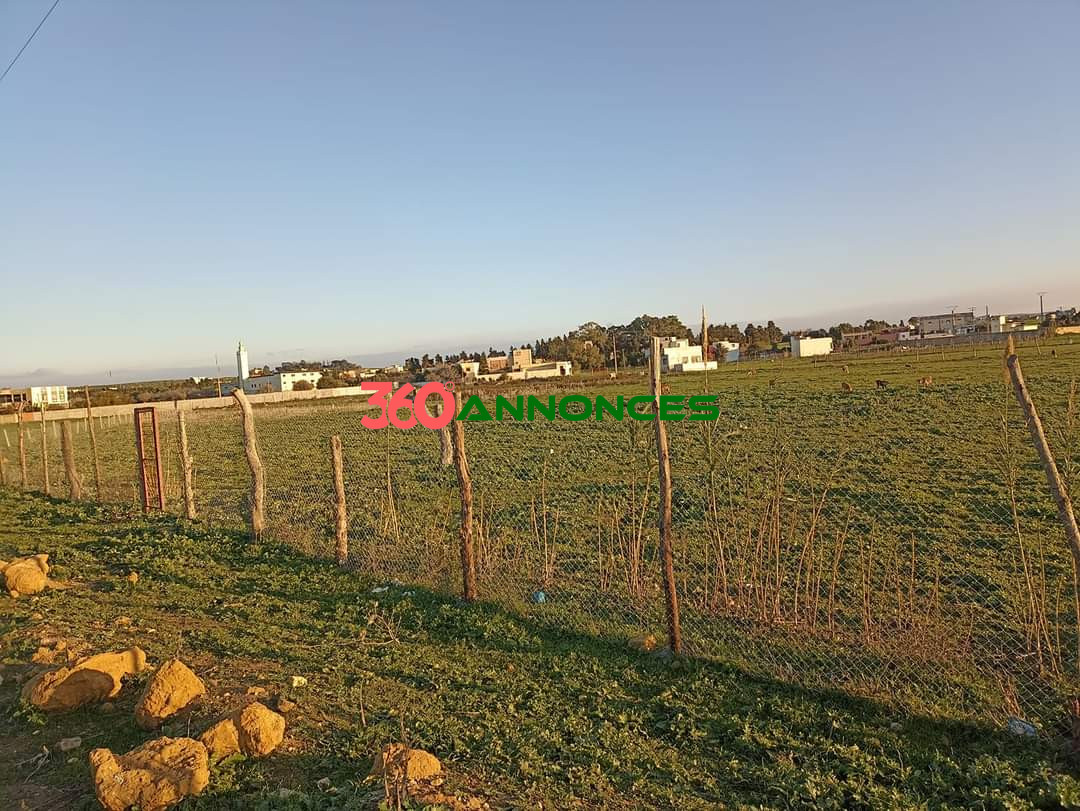 À vendre : Terrain à Al-Daïdaât, Tanger - 70 m² - photo 8