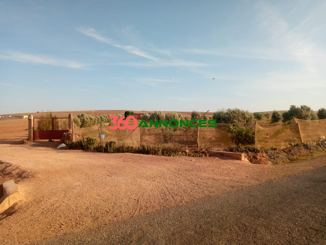 🏡 Ferme à vendre à Doukkala - 800 000 MAD 🏡 - photo 11