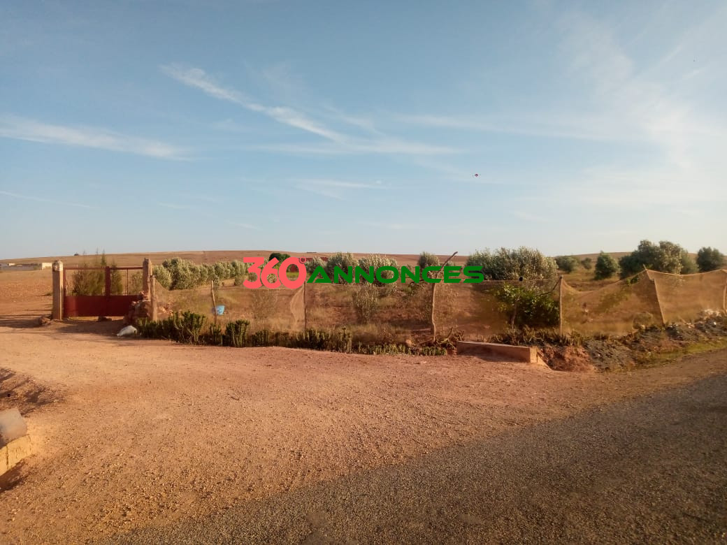 🏡 Ferme à vendre à Doukkala - 800 000 MAD 🏡 - photo 13