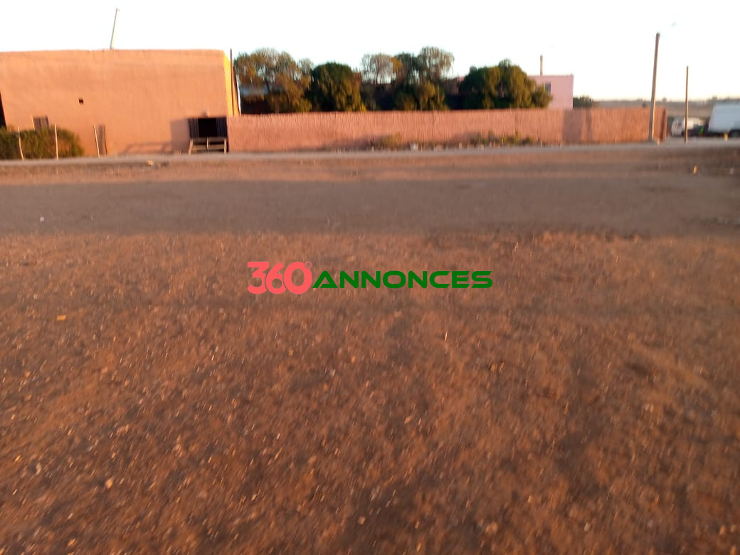 🌾 Ferme à vendre entre Rahma et la Route d'El Jadida - 1 200 000 MAD 🌾 - photo 5