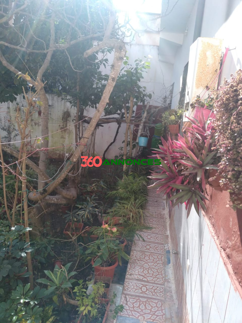 🏡 À vendre : Maison spacieuse à Martil, quartier Al-Qabliyah 🌳 — photo 5