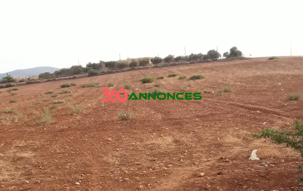 🌍 À vendre : Terrain de 24,000 m² à Ahfir, près de Berkane — photo 2