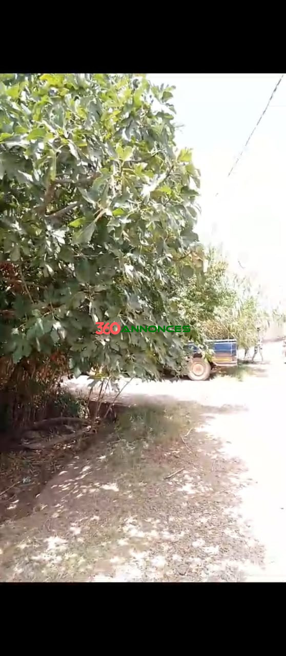 🏡 À vendre : Maison traditionnelle proche de Marrakech (Douar Al Bakara, près de Chouiter) — photo 4