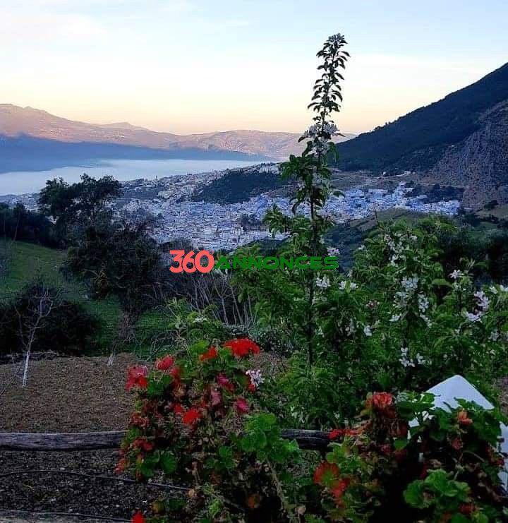 🌄 À vendre : Terrain avec vue sur la ville de Chefchaouen — photo 3