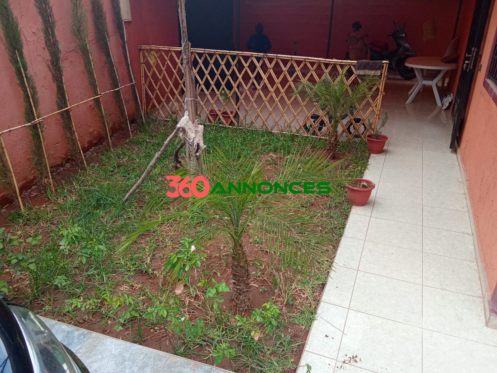 Photo 6