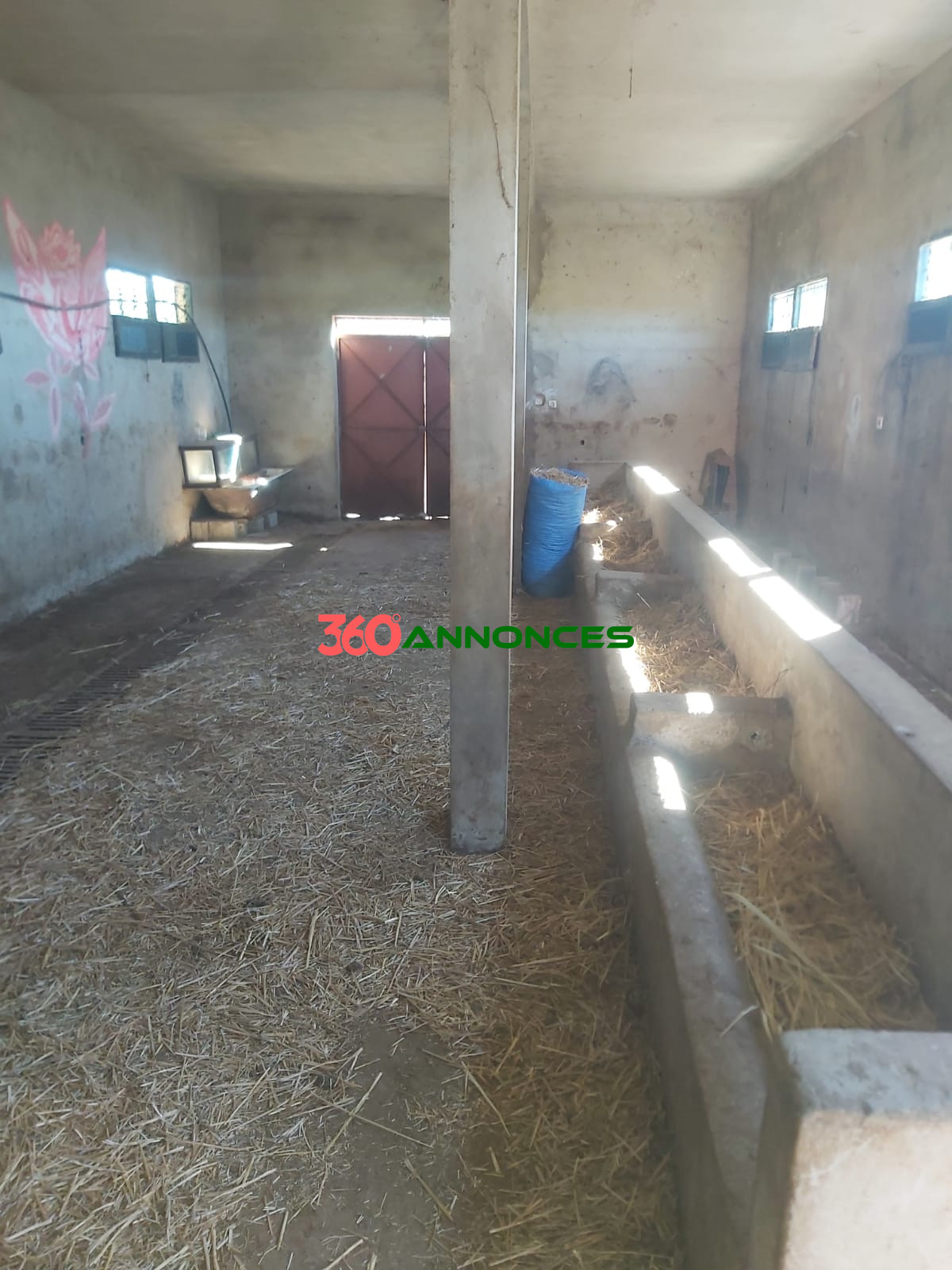 Belle Ferme à Vendre 🌳🏡 - photo 12