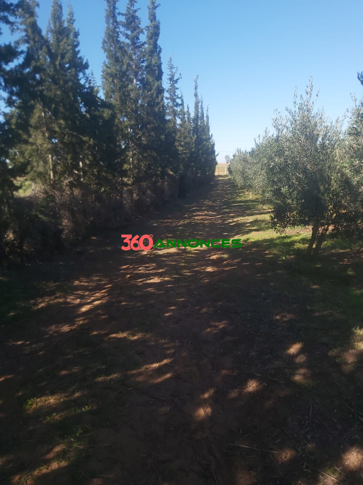 Belle Ferme à Vendre 🌳🏡 - photo 7
